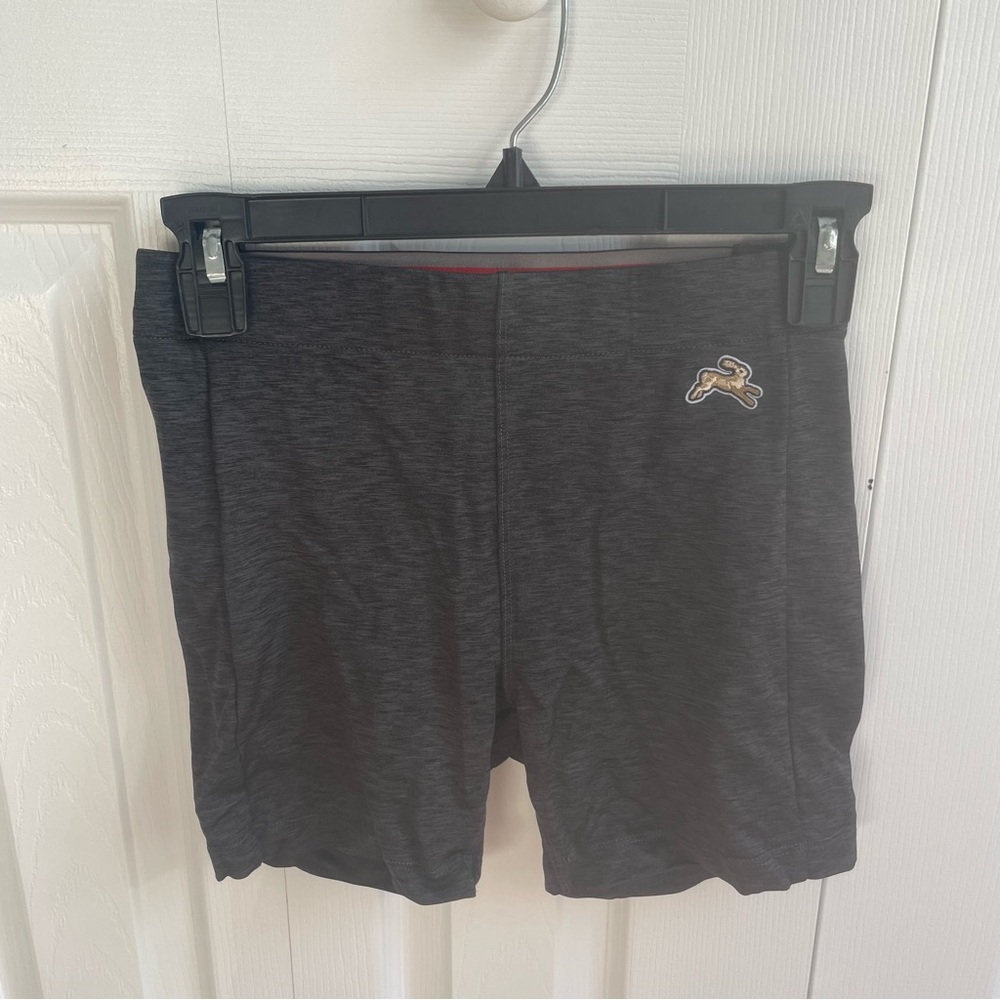 Tracksmith shorts